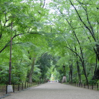 iyashirochi